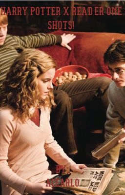 Harry Potter x Reader One Shots