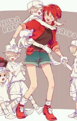 Hatarakusaibou (Cells at work)