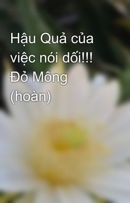 Hậu Quả của việc nói dối!!! Đỏ Mông (hoàn)