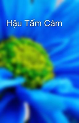 Hậu Tấm Cám