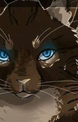 Hawkfrost X leafpool