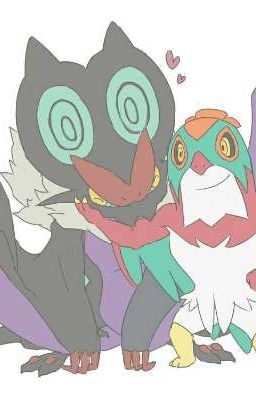 Hawlucha's and noivern's adventure