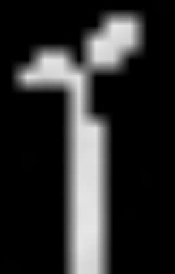 Hãy đợi ta