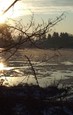 Haïkus d'hiver