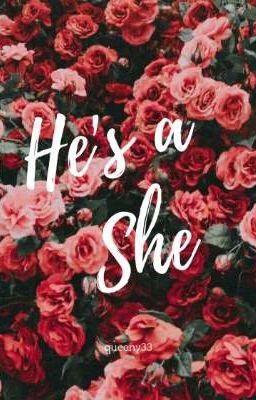 he's a she | yoongi