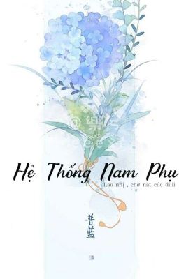 Hệ Thống Nam Phụ