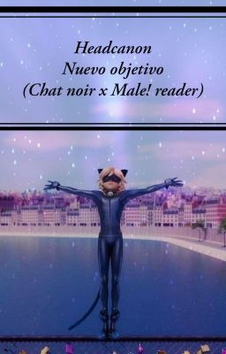 Headcanon Nuevo objetivo (Chat Noir x M! reader)