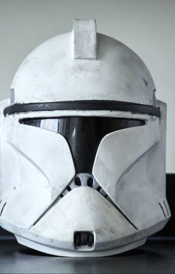 Heavy Trooper, Masked General (Male Clone Reader x Star Wars)