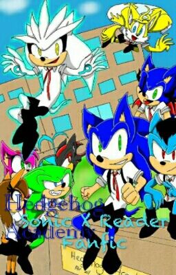 Hedgehog Academy A Sonic X Reader Fanfiction