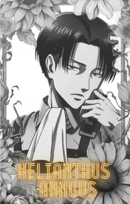 | Helianthus annuus  |     Levi Ackermann x OC  ONE SHOT