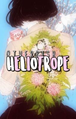 Heliotrope