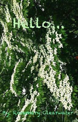 Hello...