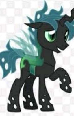 hercega mlp Oc meet mothball