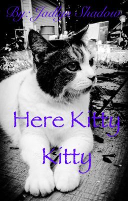 Here Kitty Kitty (Creepypasta fanfic) [DISCONTINUED]