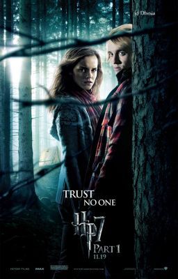 Hermione Granger and the fight for love (Dramione) - On Hold