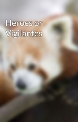 Heroes or Vigilantes