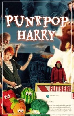 Het heilige boek van PUNKPOP HARRY