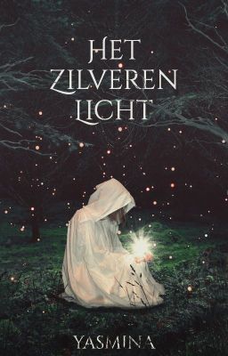 Het zilveren licht