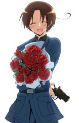 hetalia head cannons