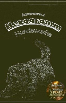 Hexagramm - Hundewache