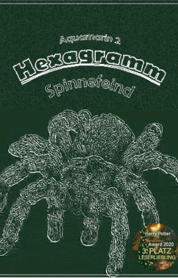 Hexagramm-Spinnefeind