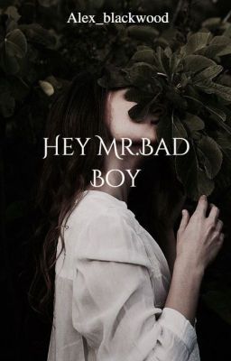 Hey Mr.Bad Boy