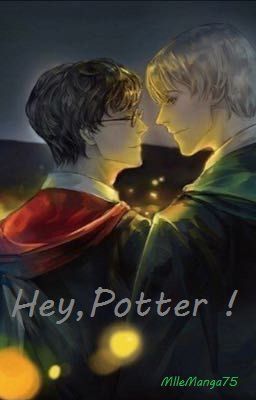 Hey, Potter ! [OS Drarry]