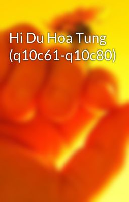 Hi Du Hoa Tung (q10c61-q10c80)