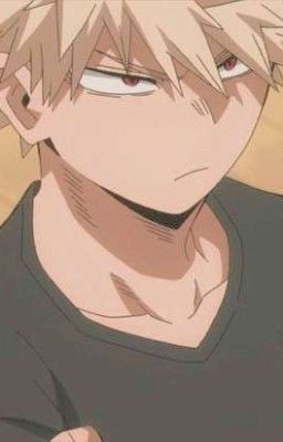 [Hiatus] MY BOOM! [BAKUGO KATSUKI X READERS]