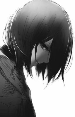 Hidden Self {Mikasa x Male Reader}