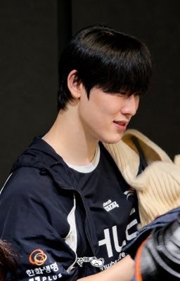 Hiệp sĩ