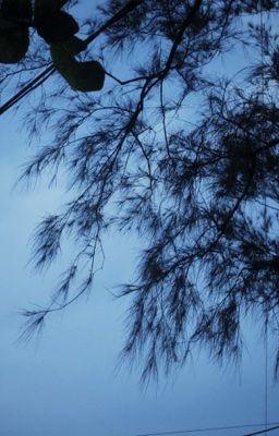 hiếu an - tomorrow.