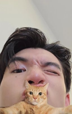 [HIEUGAV] Kệ Tao | Fronav.