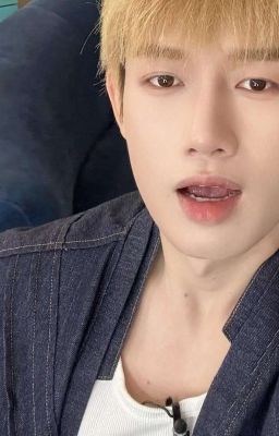| hieuquan | lactation