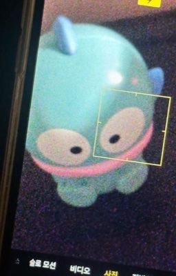 hieutus; mẫu ảnh