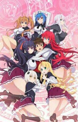 High school DXD harem x futa reader