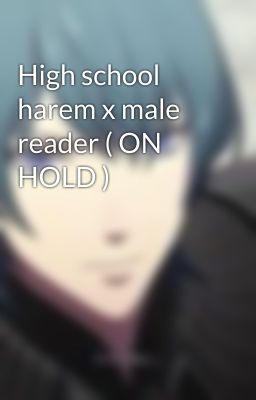 High school harem x male reader ( ON HOLD )