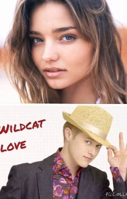 High school musical: A Wildcat love