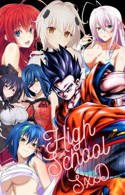 High School SxD (Dragon Ball Z x High School DxD)