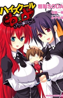 Highschool DXD: Reburst (Autistic Male reader X Highschool DXD Harem)