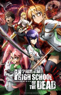 Highschool of the Dead Harem x Male reader