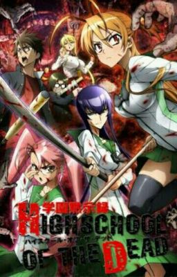 Highschool Of The Dead X Male reader