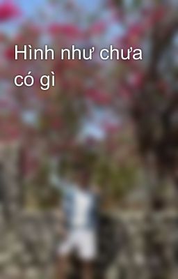 Hình như chưa có gì