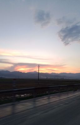 Hình như mọi chuyện không giống như trong truyện.