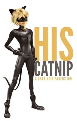 His Catnip | Chat Noir x Reader