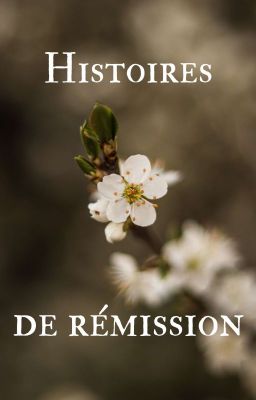 Histoires De Rémission