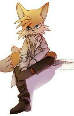 Historia interactiva: Tails x tu.