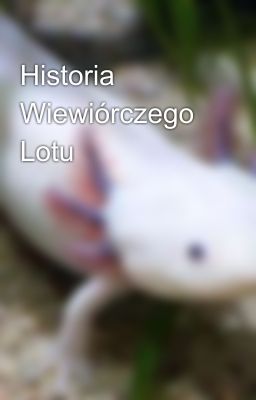 Historia Wiewiórczego Lotu 