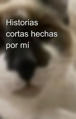 Historias cortas hechas por mí