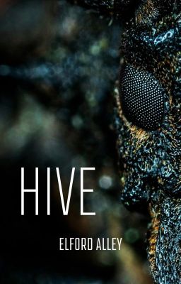 Hive